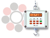 The WGJ-R manual scales